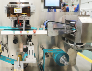small bag wet wipes machine(1-10)